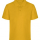 Ashley C of E Primary School PE Polo Shirt Gold