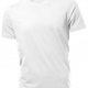 Eco school wear organic V neck T shirt organic cotton in school uniform colours