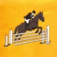 Stock Equestrian Embroidery Design for Bronte Jackets