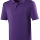 School senior cool polo shirt, wickable fabric, 3 button placket, short sleeves