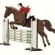 Equestrian Stock Embroidery Design of Show Jumper for Bronte Jackets, Hoodies