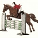 Stock Equestrian Embroidery Design for Bronte Jackets