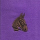 Equestrian stock embroidery design of horse suitable for front application