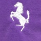 Equestrian stock embroidery design of horse suitable for front application