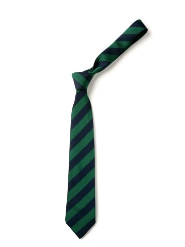Navy & Emerald Broad Stripe Tie (Box of 24)