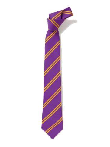 Purple with Gold Double Stripe Tie (Box of 24)