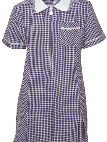 School Uniform Gingham Summer Dress