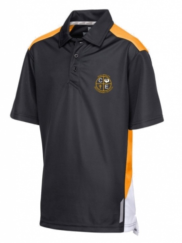 *New* Wolverley CE Secondary School PE Polo Shirt