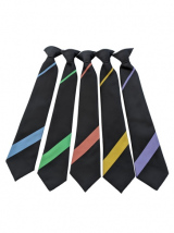 Wolverley CE Secondary School Ties 